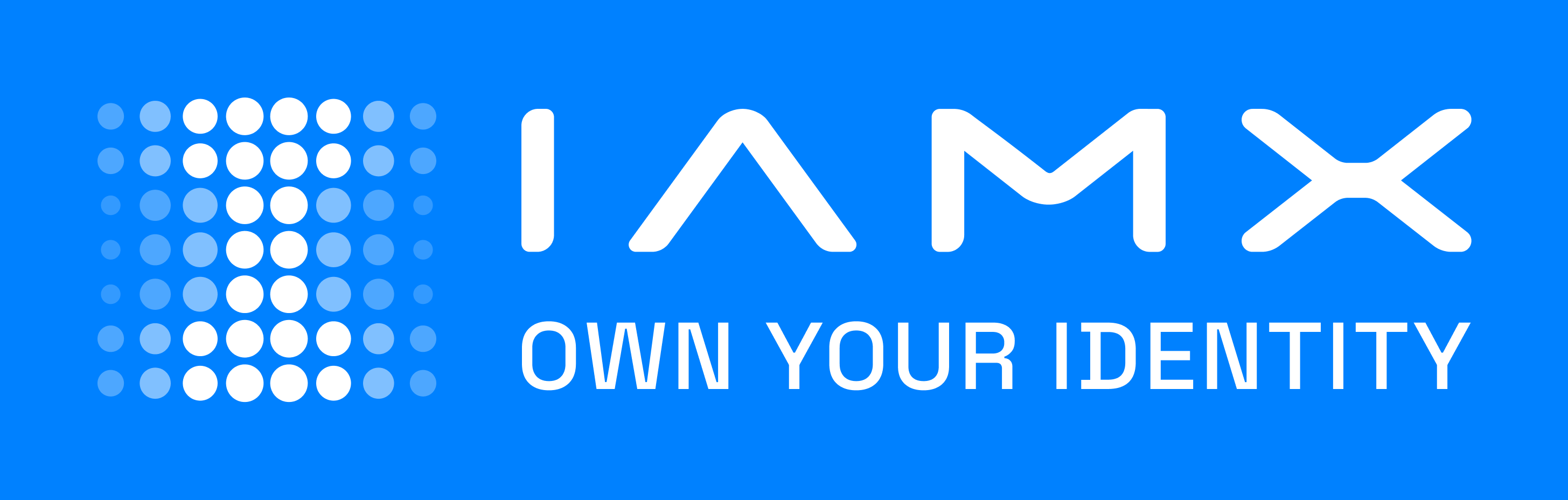 IAMX Logo